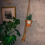Shed ヴェルビエール