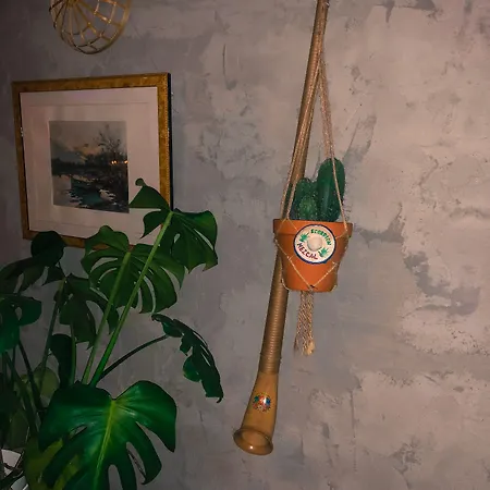 Shed ヴェルビエール