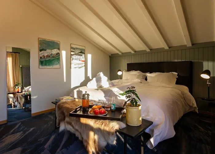 Shed Hotel 3*