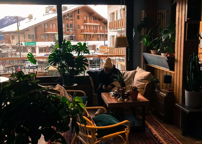 Shed 3* 韦尔比耶