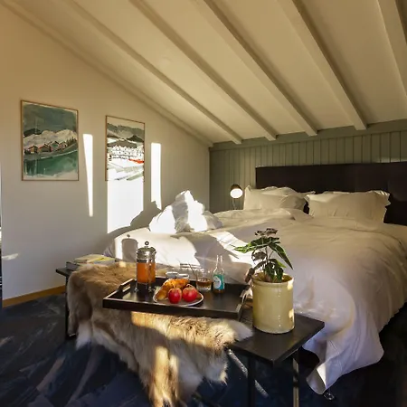 Hotel Shed